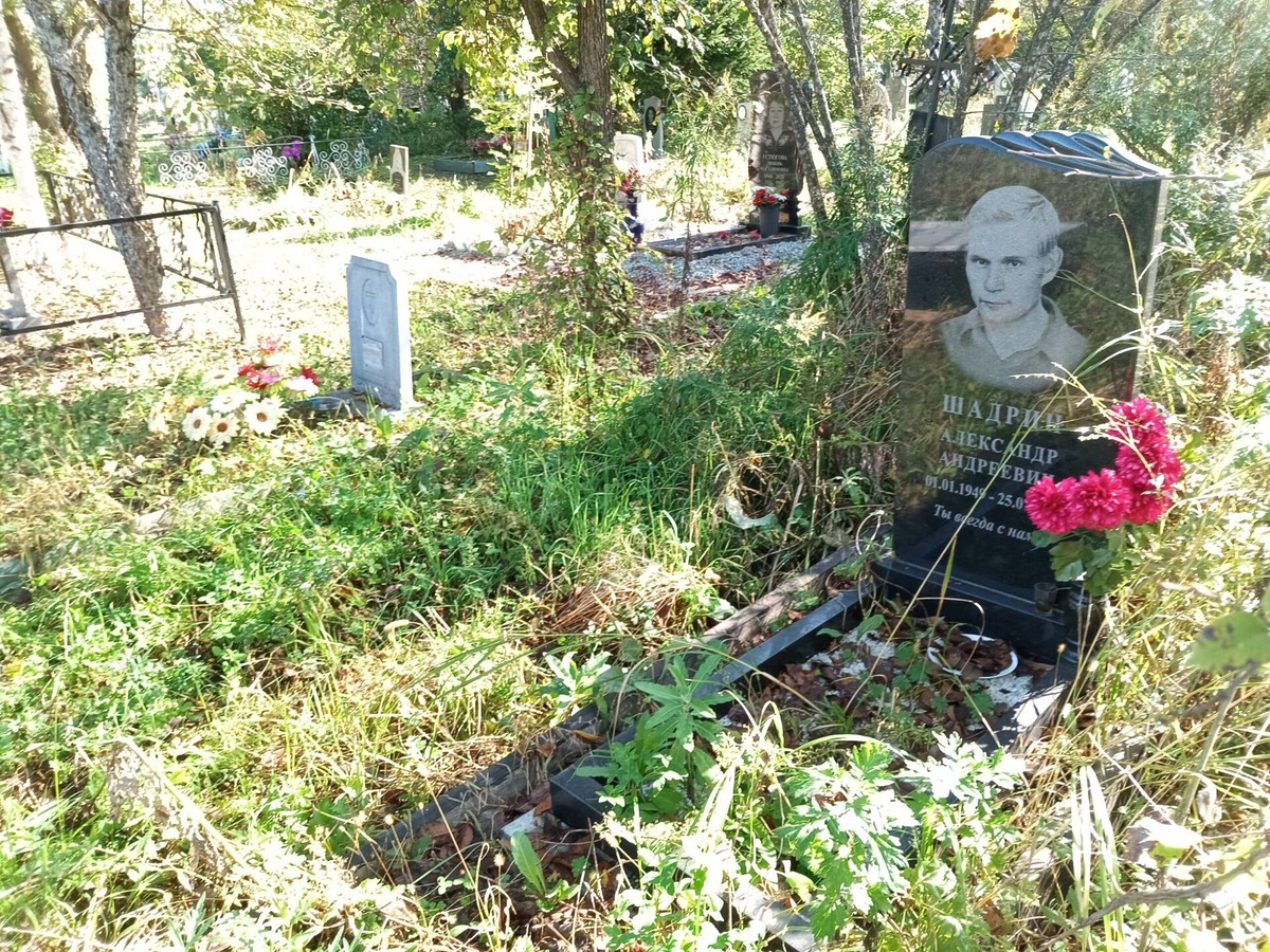 Шадрин Александр Андреевич
