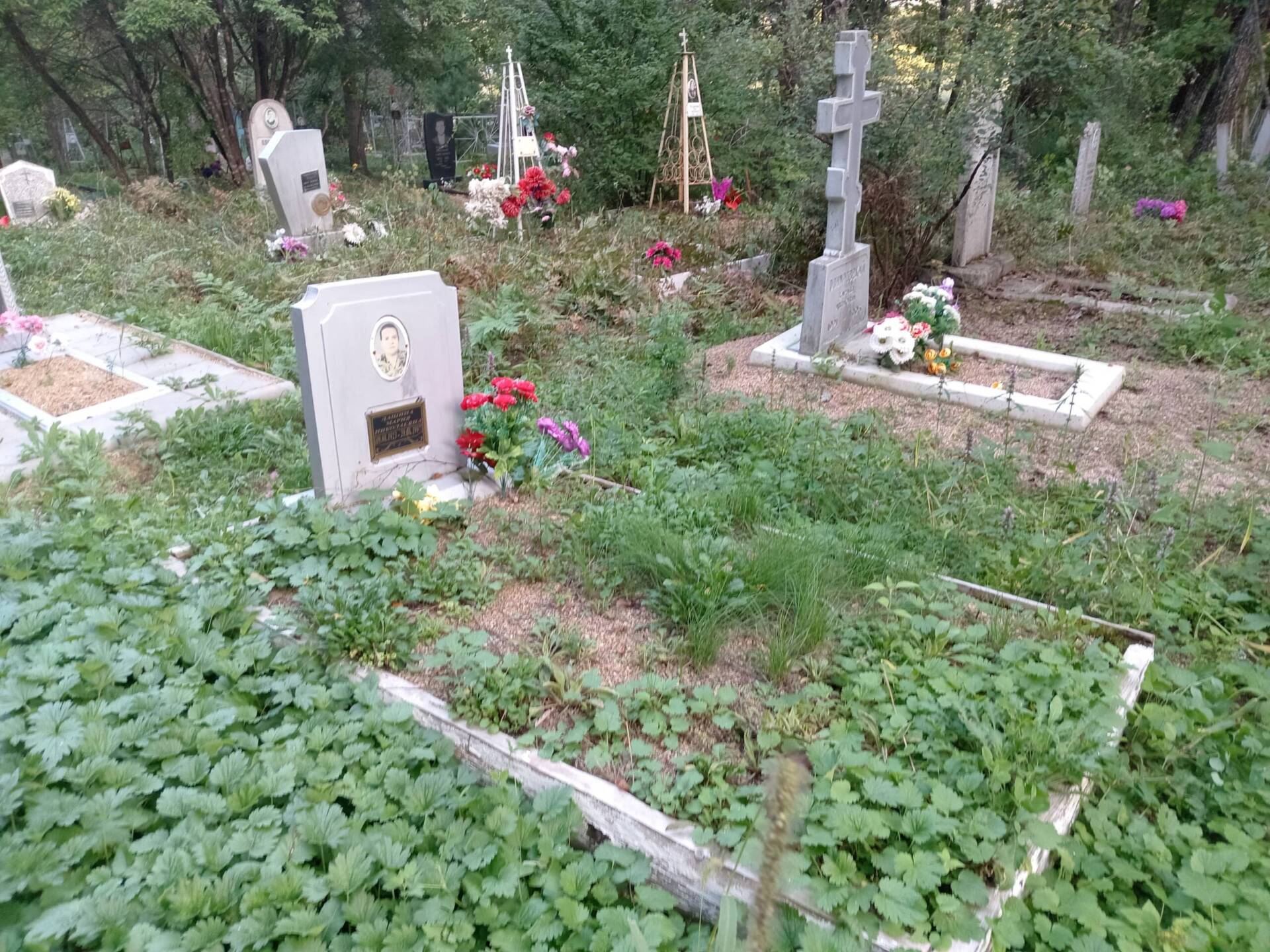 Лашина Мария Николаевна