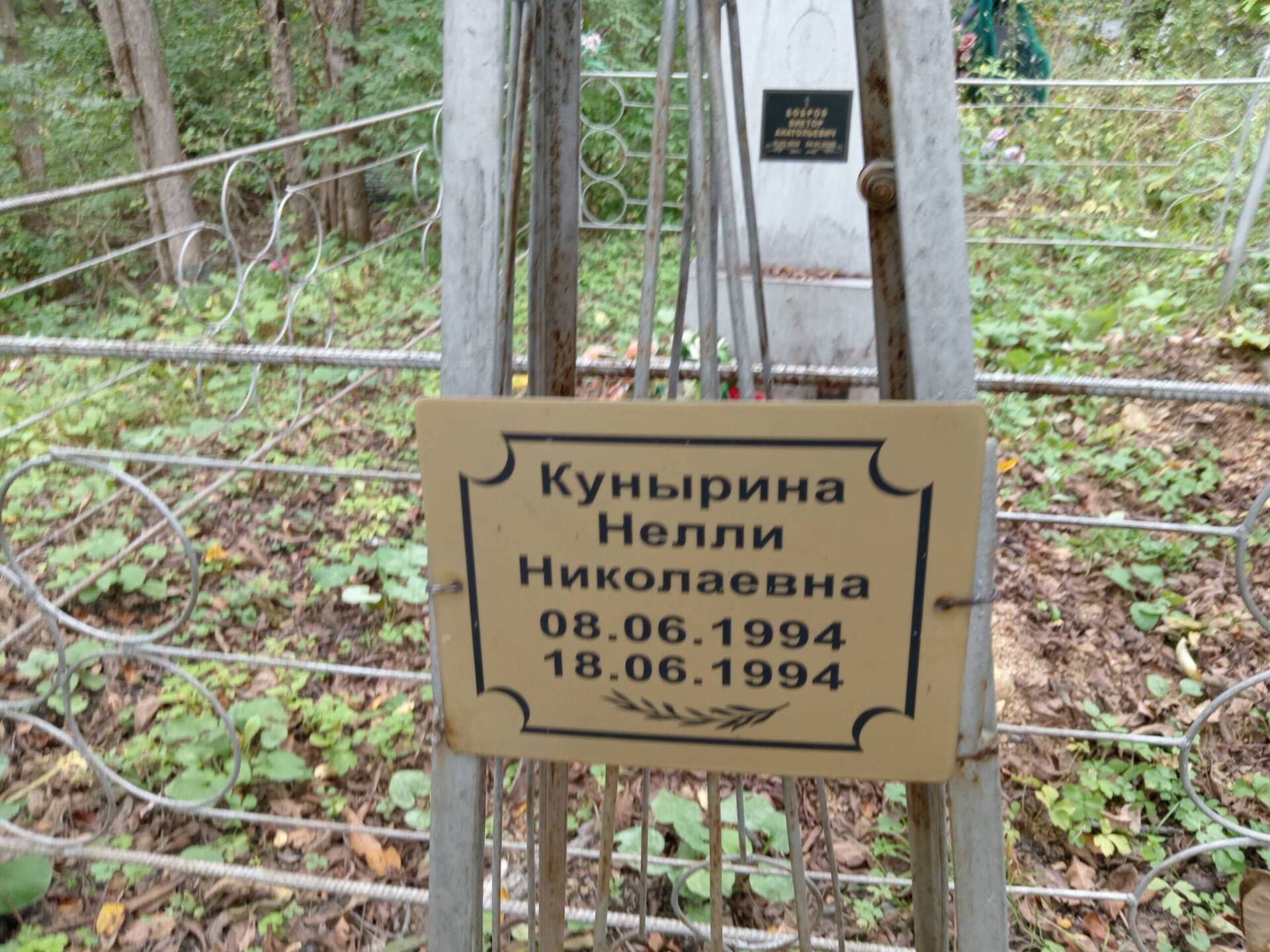 f494546e-3236-45f6-8846-1a929471bad5 Кунырина Нелли Николаевна