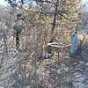 Семенец Михаил Васильевич
