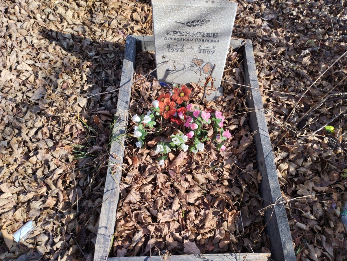 005efd22-9c0d-4e2c-a3e8-9dbacc49cac0 Креничев Александр Павлович