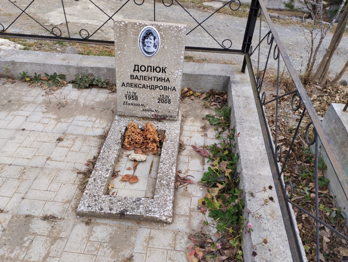 01205ad0-ce0a-4700-a853-ae1cfd9f0bc5 Долюк Валентина Александровна