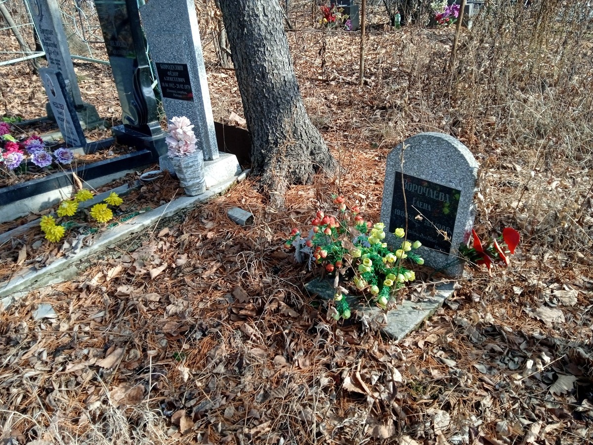 Ворочаева Елена Неизвестно