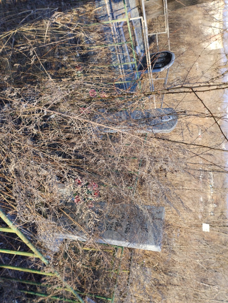 03091f8a-4111-4ab9-86a4-8647b0a0632d Марусова Анна Алексеевна