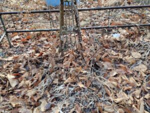 Неизвестно Неизвестно Неизвестно