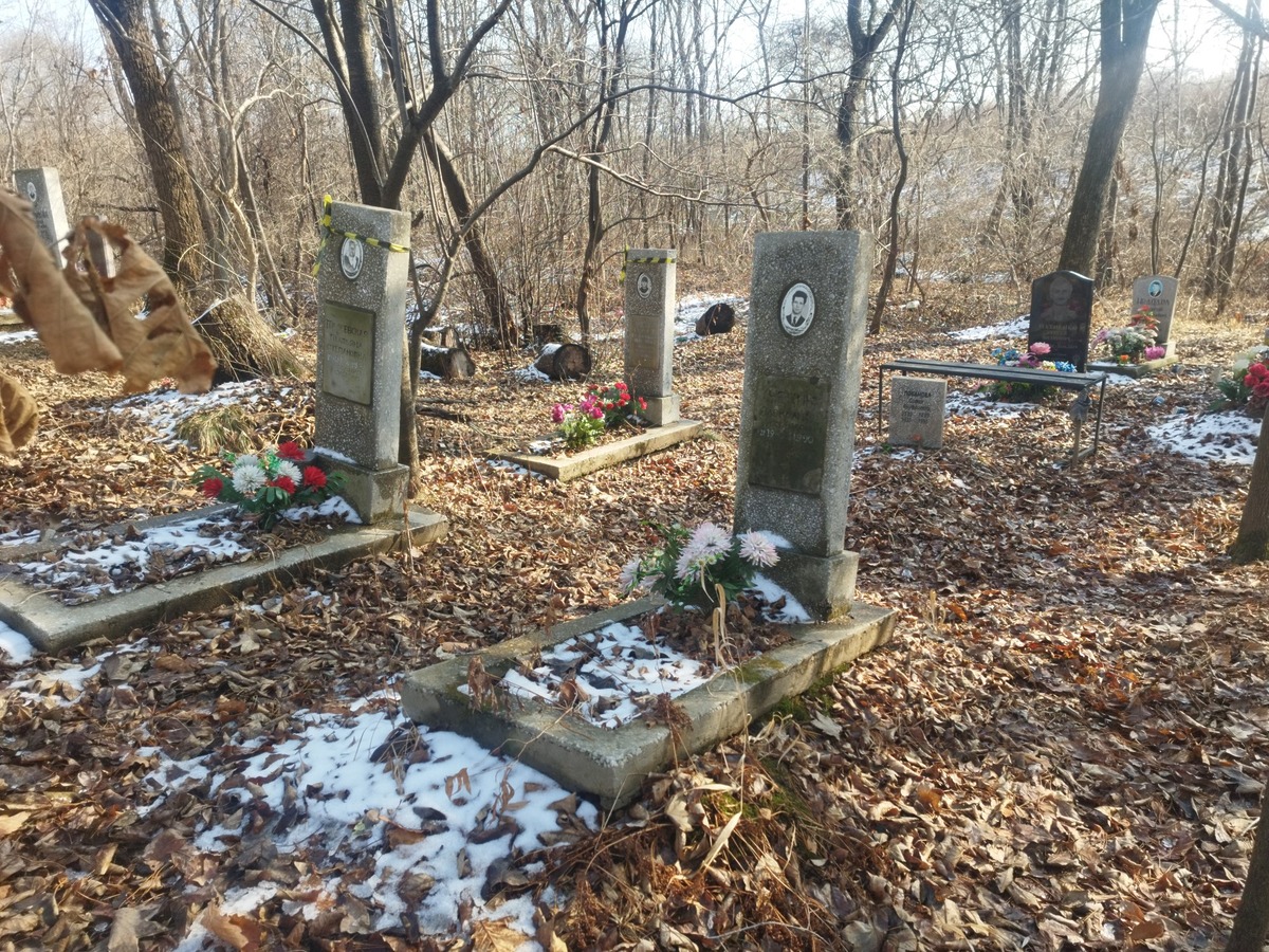 060bda7e-7d3c-4159-aaa2-fbe0dc303dfe Чекин Александр Александрович