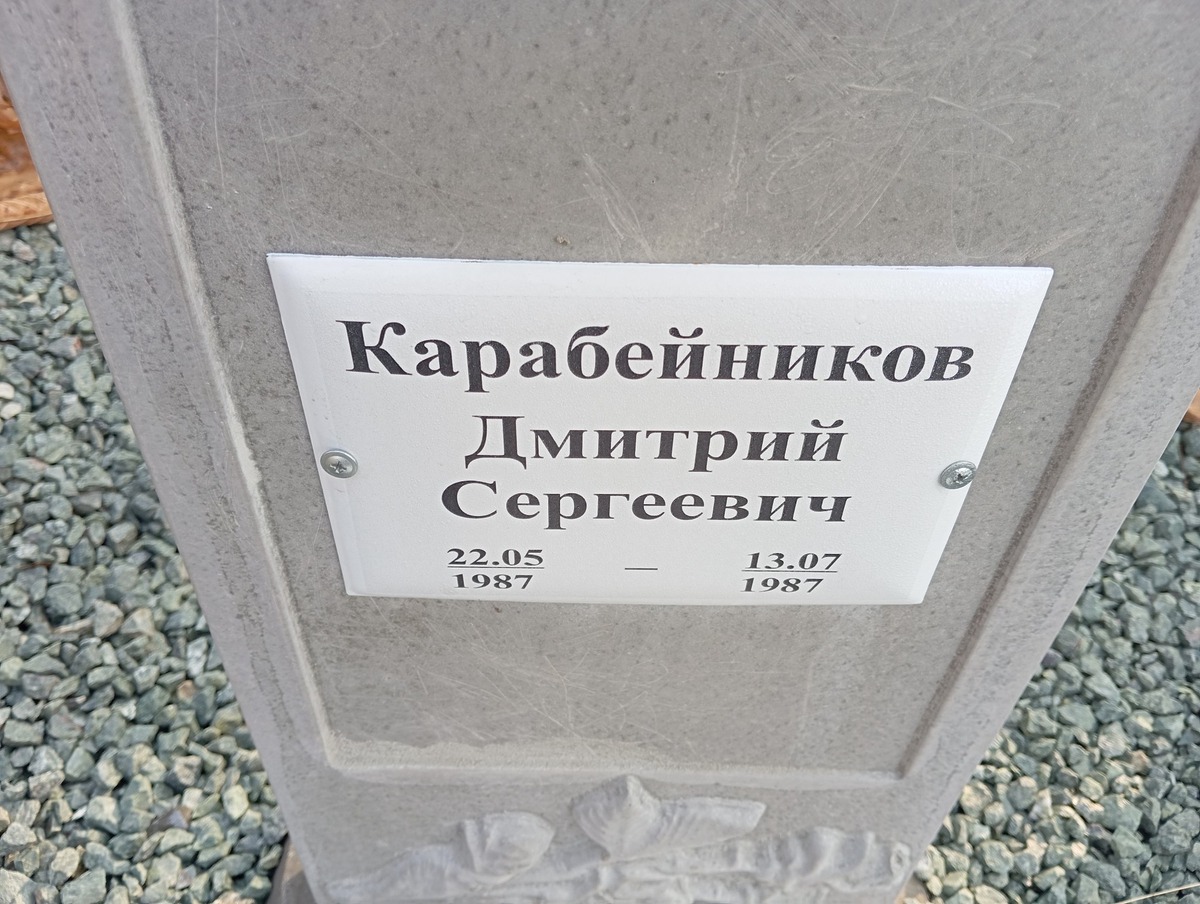 Карабейников Дмитрий Сергеевич