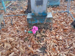 Черентаева Фекла Сидоровна