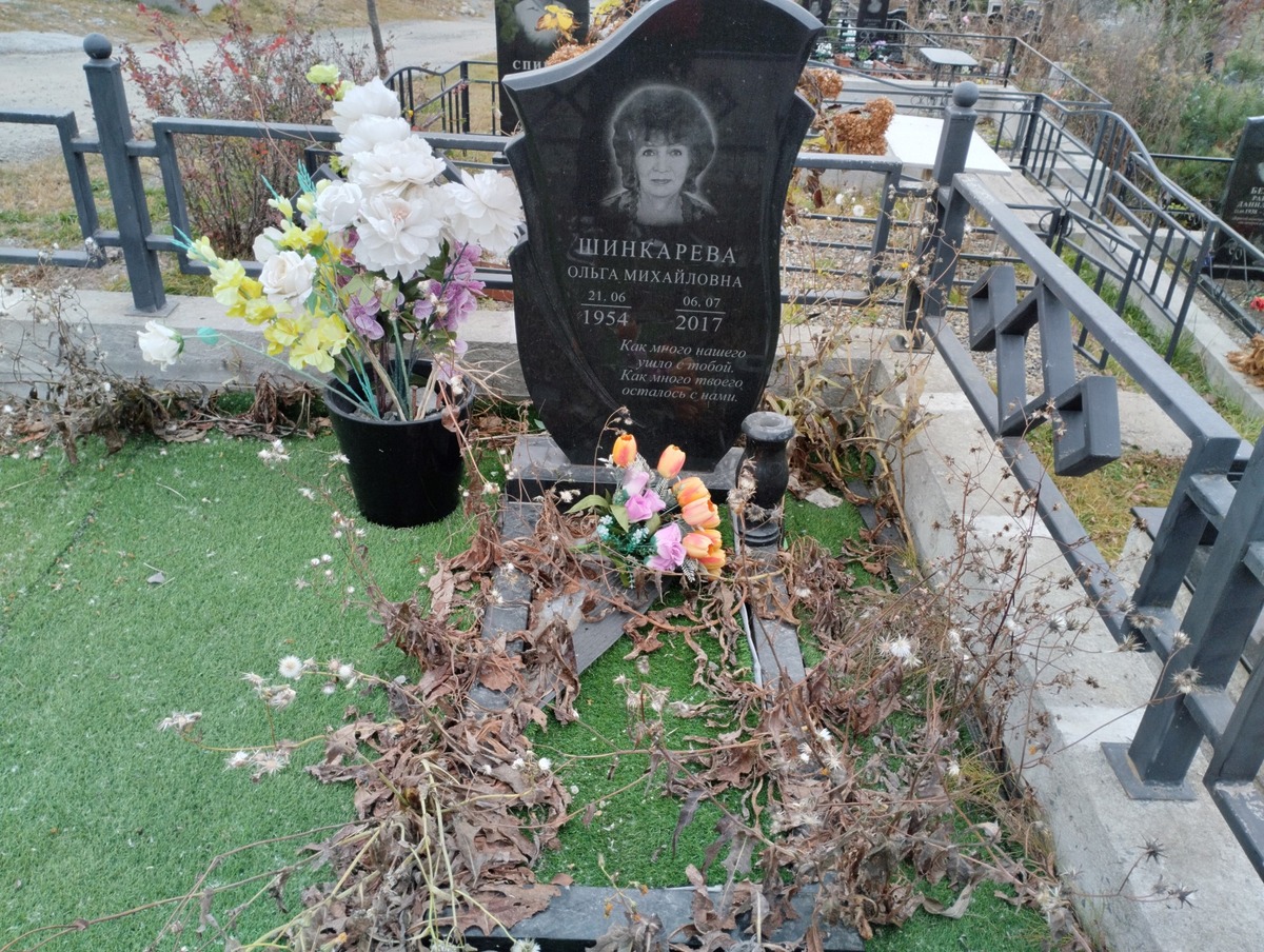 0906d3de-3193-498c-921e-60ff7713d4cf Шинкарева Ольга Михайловна