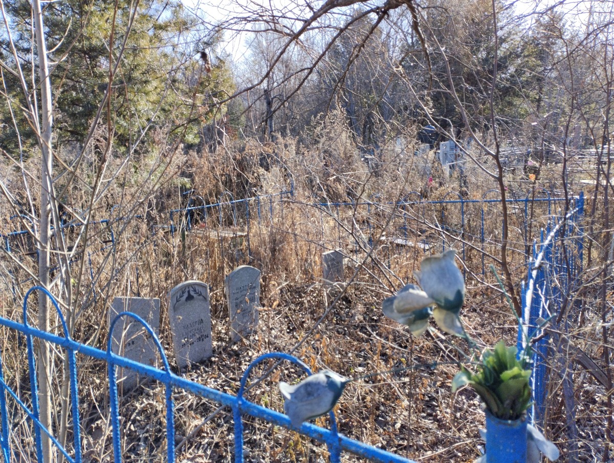 Шиханова Наталья Петрогвна