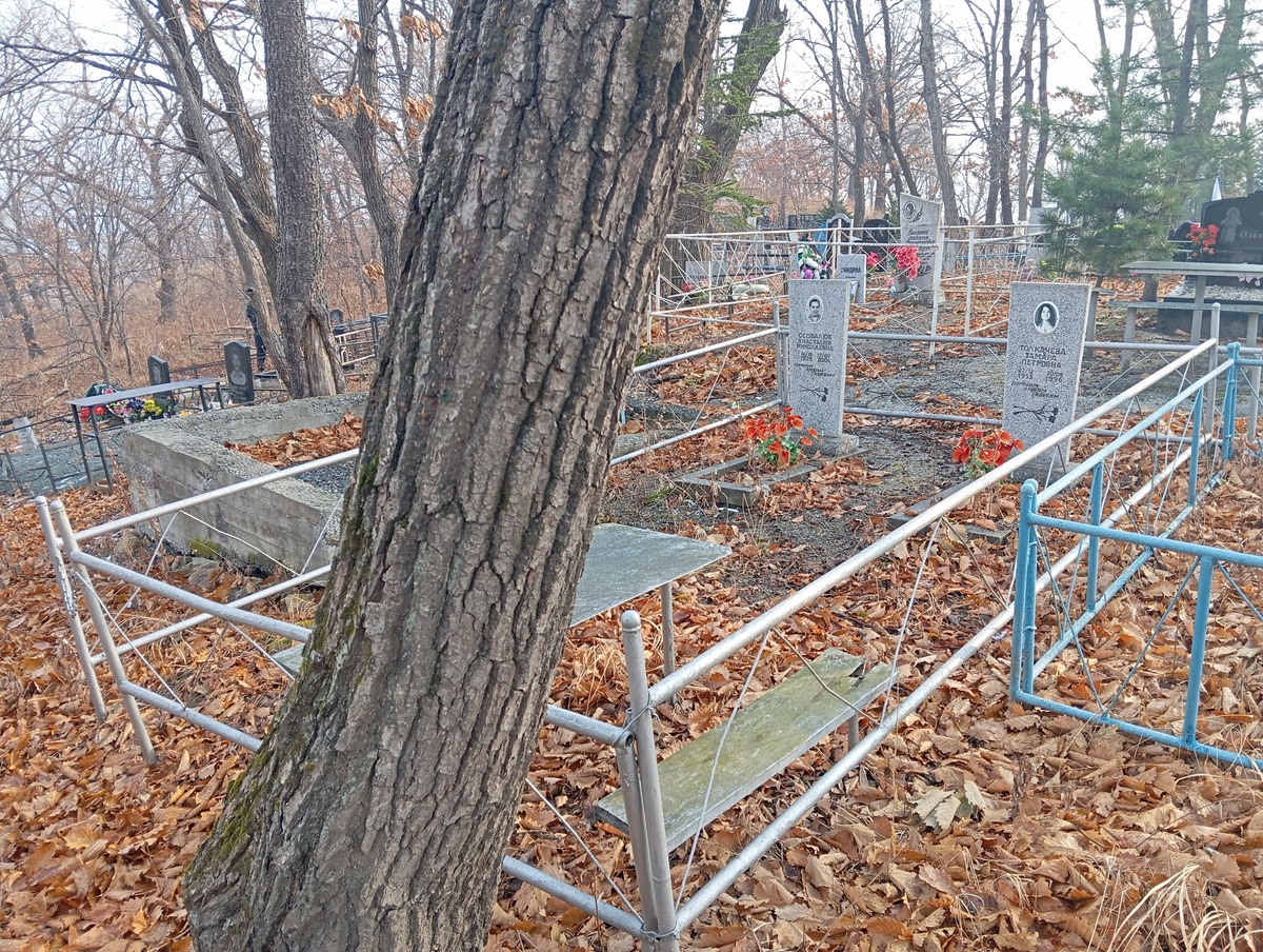 Толкачева Тамара Петровна