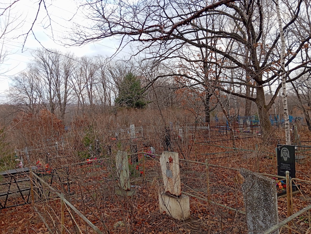Мамонов Андрей Иванович