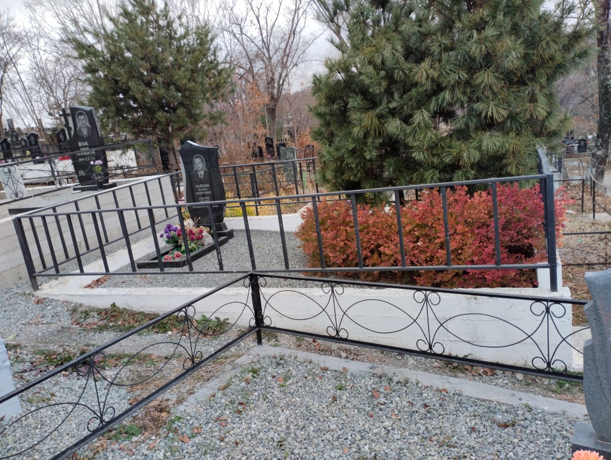 0a3ed64f-720e-4096-bc6e-182ae2170d91 Байкин Павел Андреевич