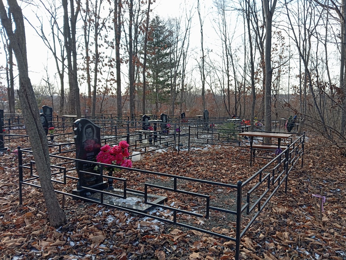 Шиш Раиса Ивановна