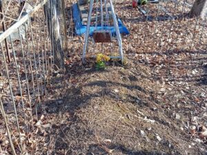 Неизвестно Неизвестно Неизвестно