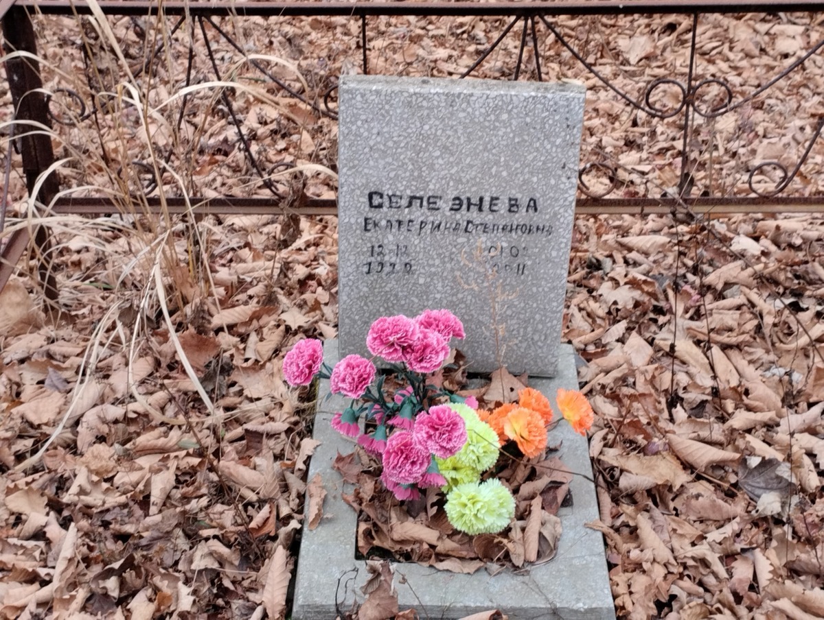 Селезнева Екатерина Степановна