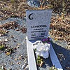 Хафизова Найля Мингареевна