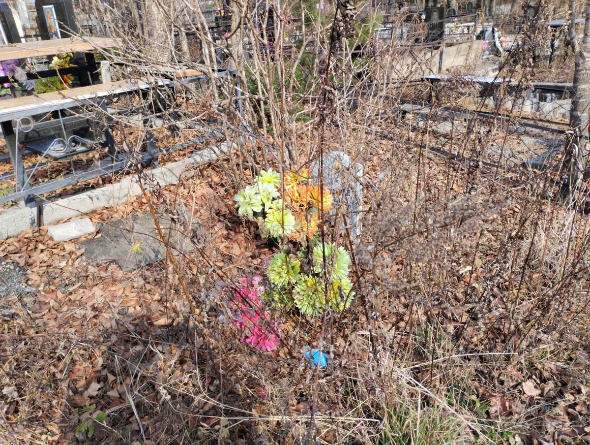 0d6e1637-ae63-4932-8283-1fe11344bb31 Алексанин Анатолий Михайлович