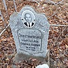 Зелезниченко Николай Спиридонович