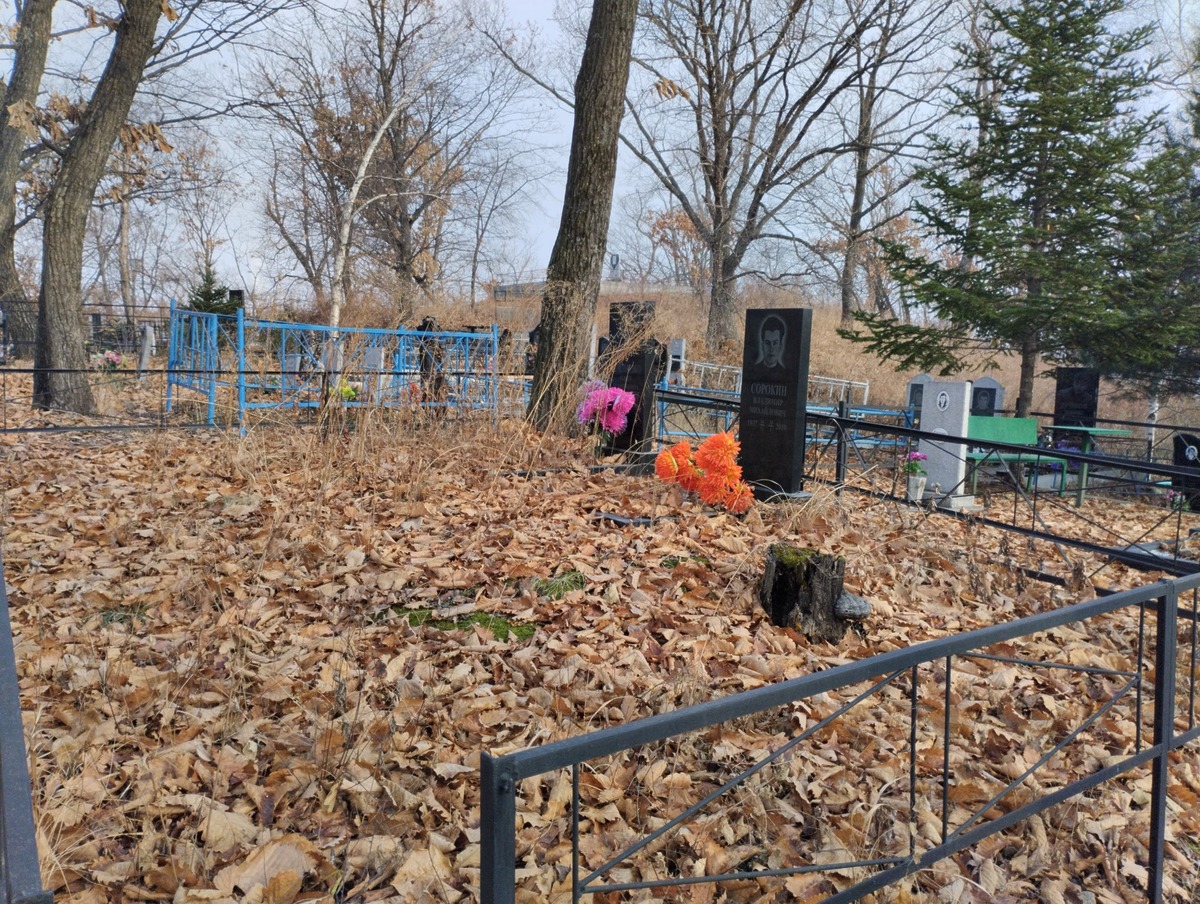 Стрельченко Ольга Герасимовна