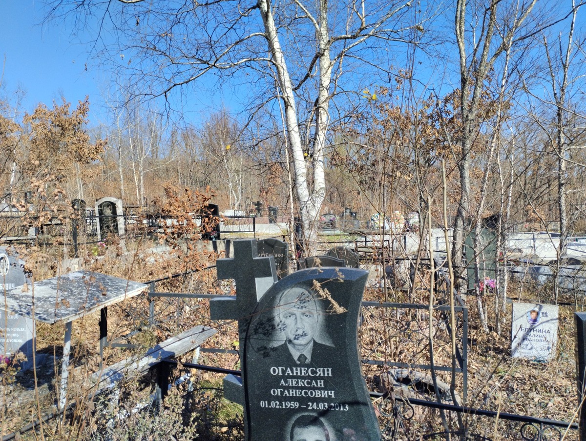 Оганесян Александр Оганесович