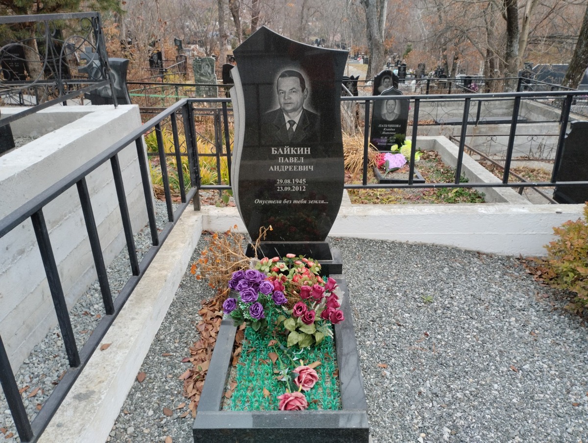 11768916-3e2f-48eb-ab38-1fad83ccc4e3 Байкин Павел Андреевич