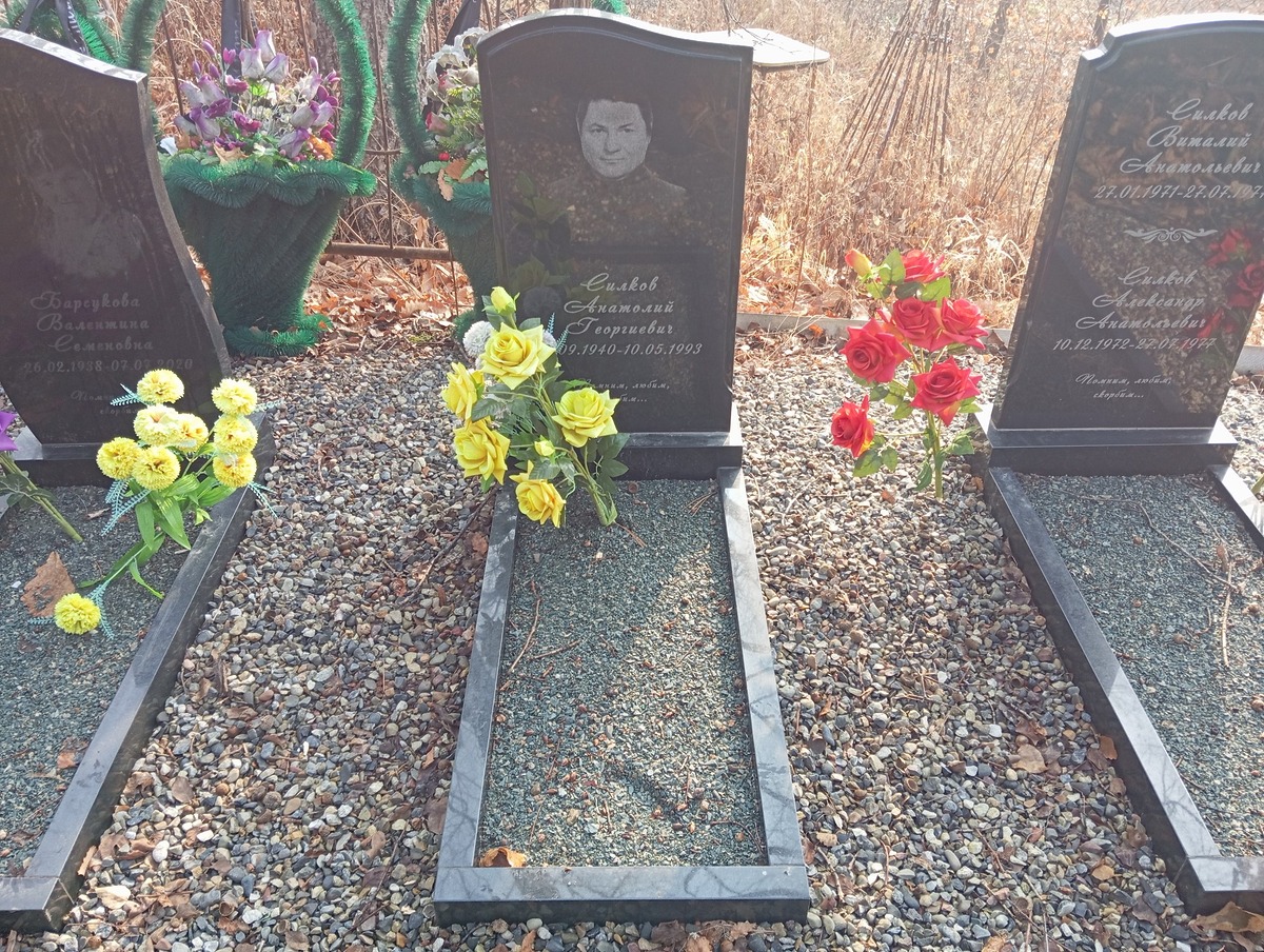 Силков Анатолий Георгиевич