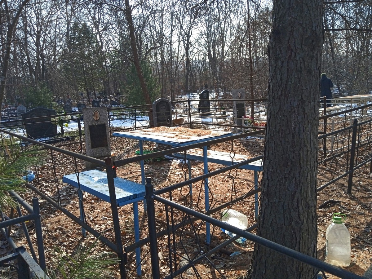 Домаев Сергей Викторович