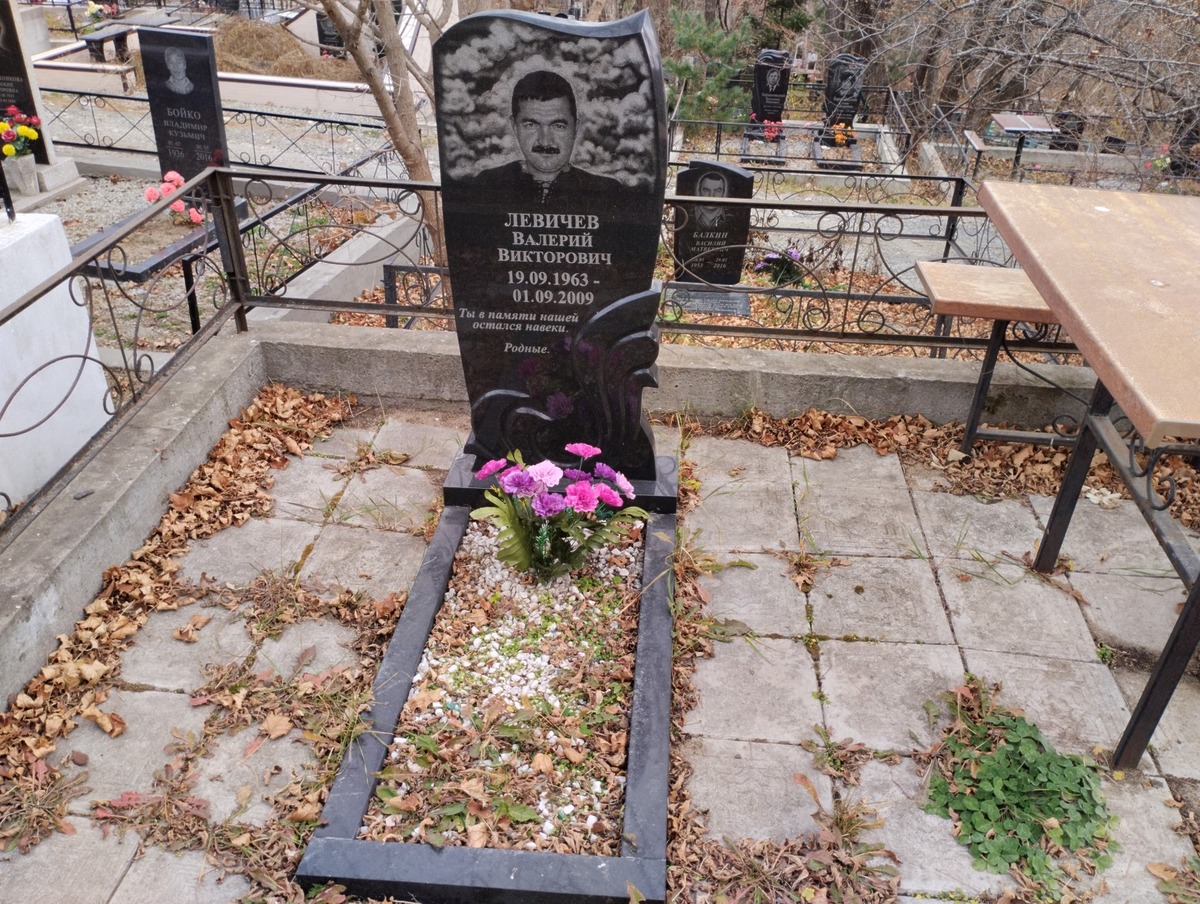 133778b4-f962-4f16-acce-97265f2a687d Левичев Валерий Викторович