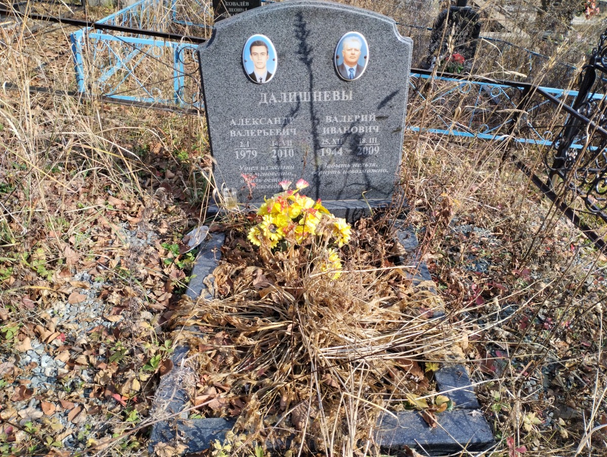 13ec9b5b-3cfc-4ebb-8ec2-d3bc5da6250d Далишнев Валерий Иванович