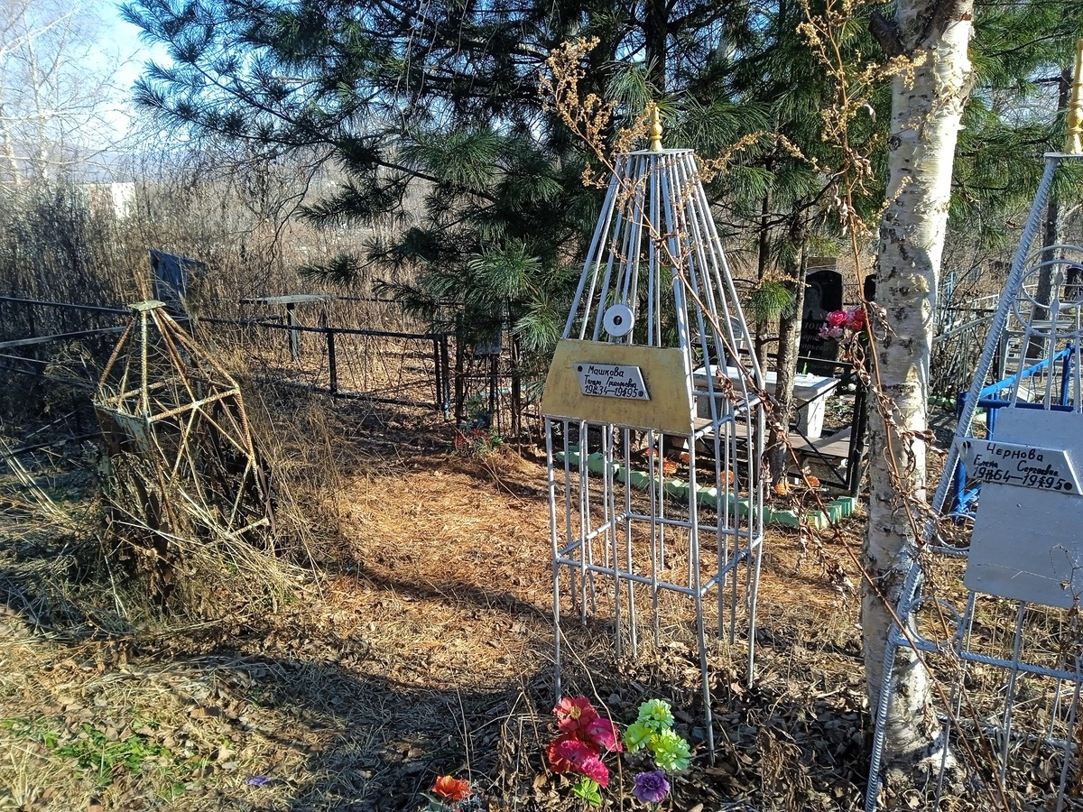 13ff031e-3df5-48e5-a4c3-c2ab7809a314 Машкова Тамара Григорьевна