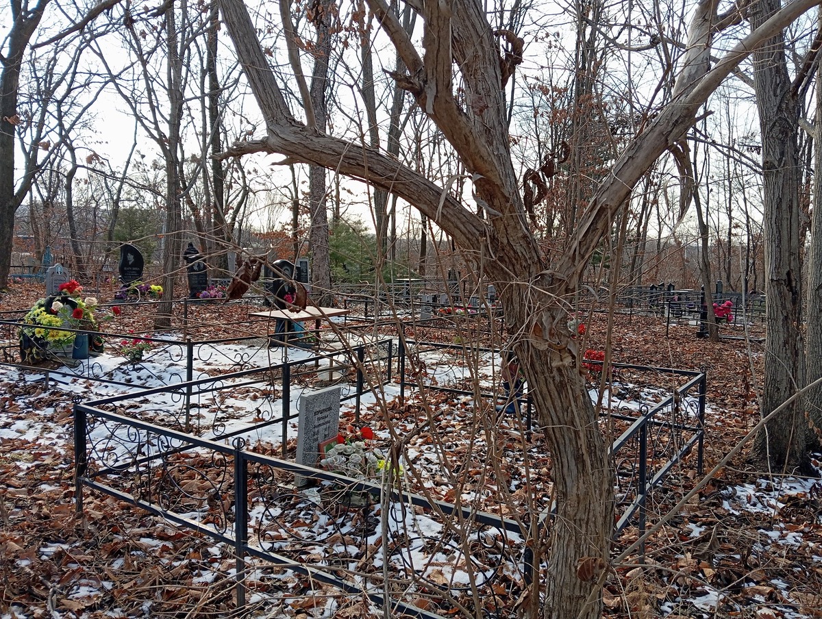 Коршунова Наталья Анатольевна