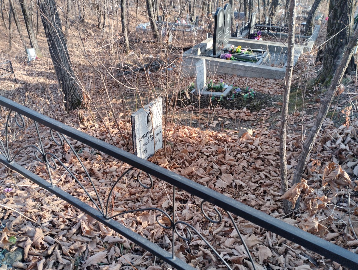 1535c1ce-e0c6-4bb4-b728-421b843382dd Зубрилина Аза Александровна