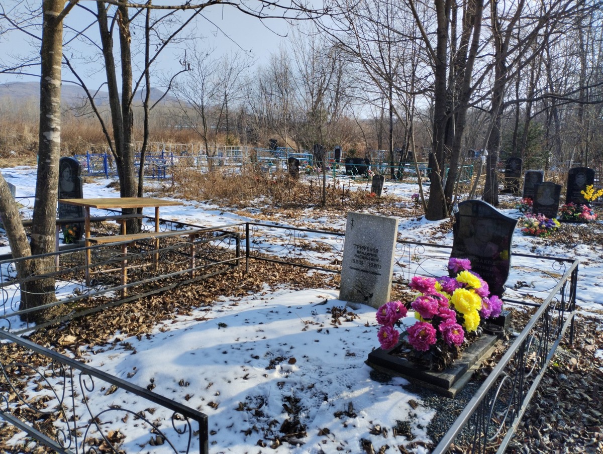 15e31e65-6b14-424c-95ca-0a00cb7471d3 Трифонов Владимир Васильевич