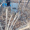 Бурханов М Г