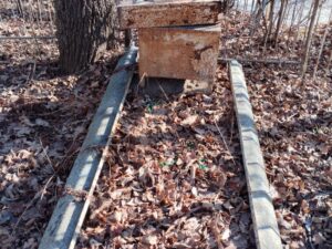 Карслина Мария Дмитриевна