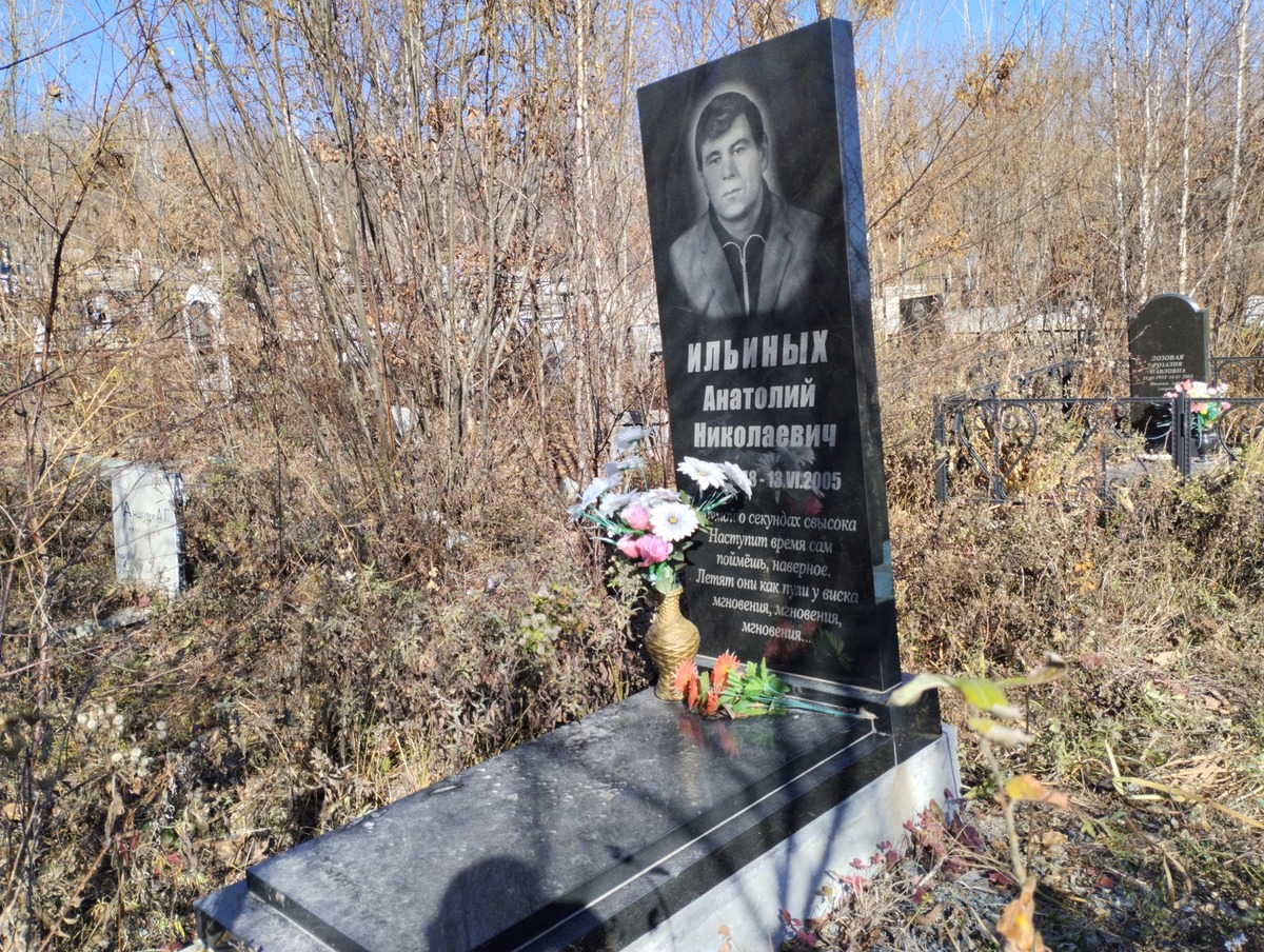 17f09632-ae69-41bf-82bd-b311d2061ca9 Ильиных Анатолий Николаевич