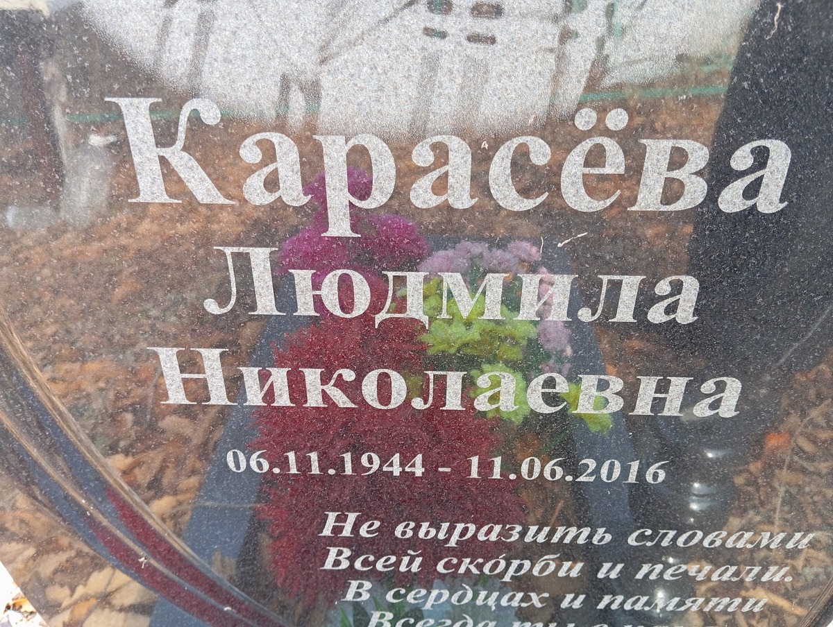 182c8550-1f71-45ee-8fd8-3c7656ca4329 Карасева Людмила Никролаевна