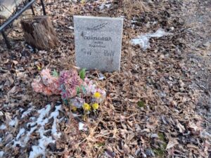 Соколова Любовь Андреевна