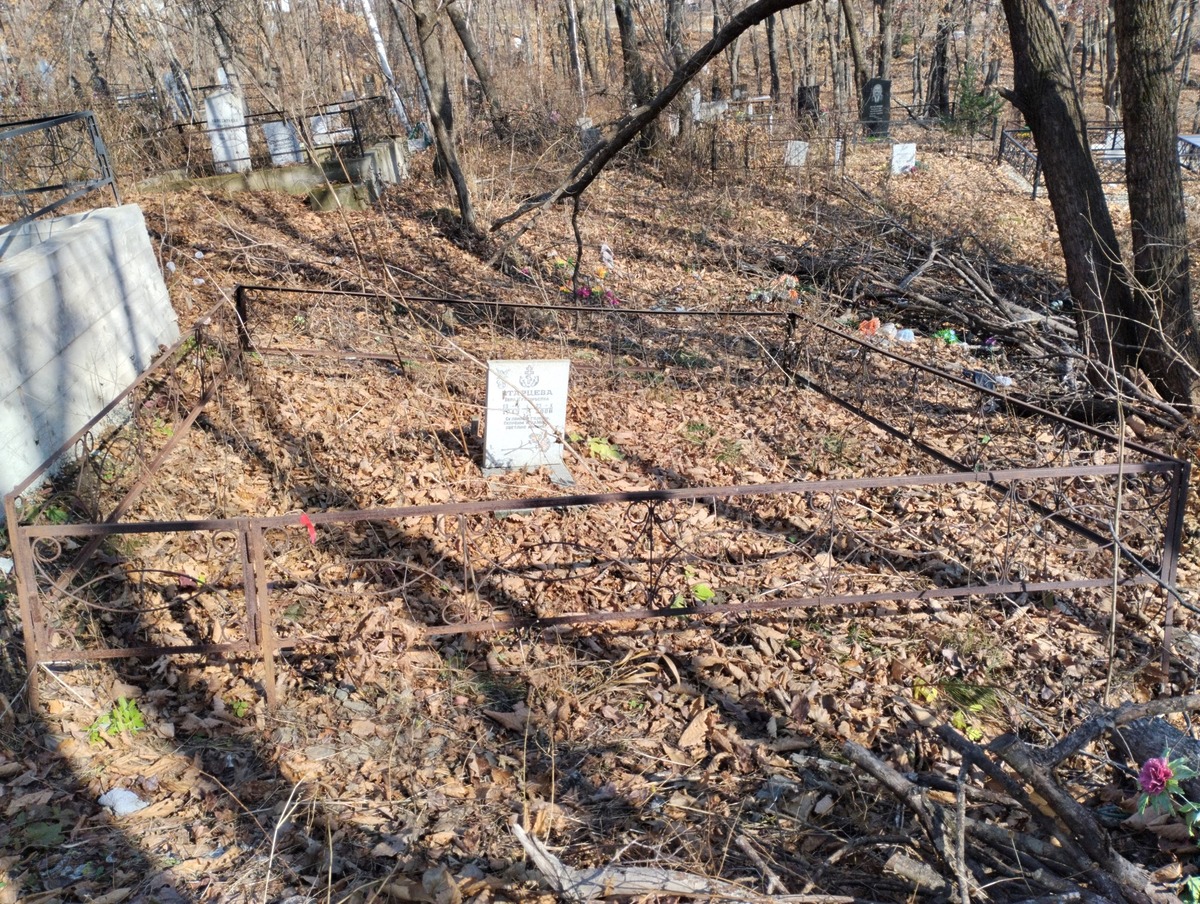 19429cf6-9e74-4853-be49-8750028289e0 Старцева Вера Григорьевна