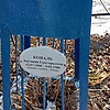 Коваль Акулина Григорьевна