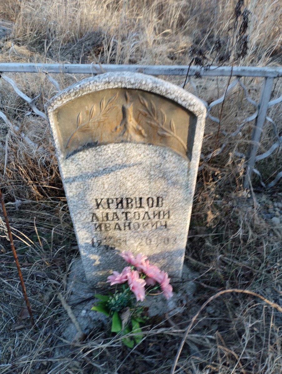 1a21f4ad-2084-4f0a-b9d8-80c0d5f8f971 Кривцов Анатолий Иванович