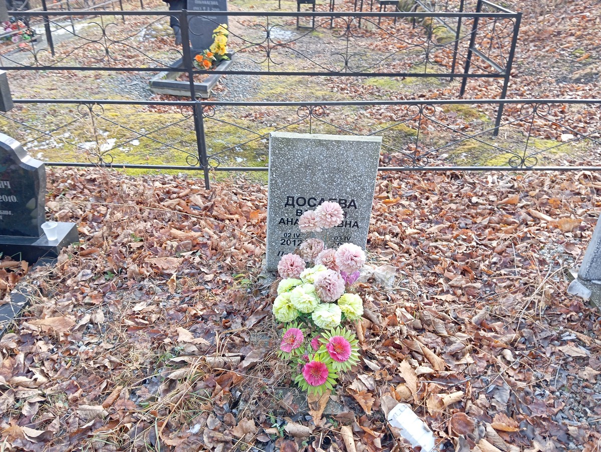 Досаева Валерия Анатольевна