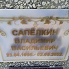 Сапелкин Владимир Васильевич