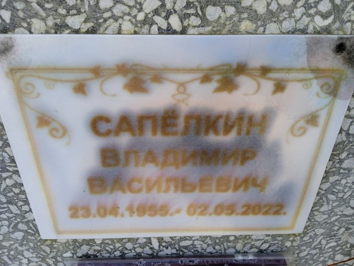 1b967850-6358-4584-b708-86a61424c1c8 Сапелкин Владимир Васильевич
