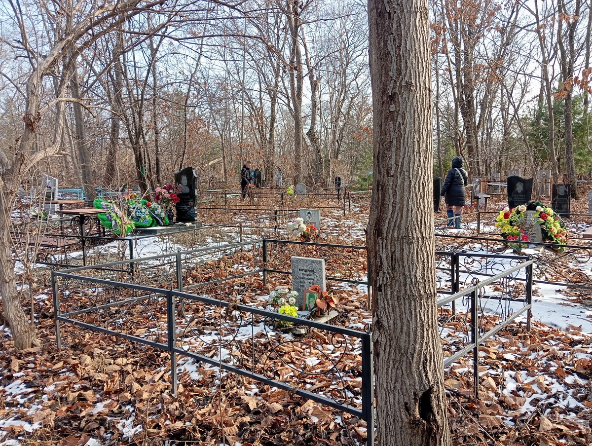 Коршунова Наталья Анатольевна