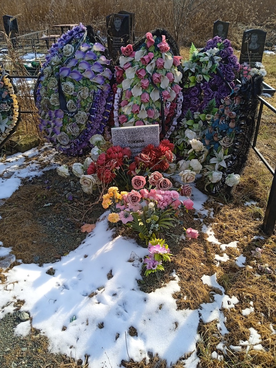 Токина Людмила Ильинична