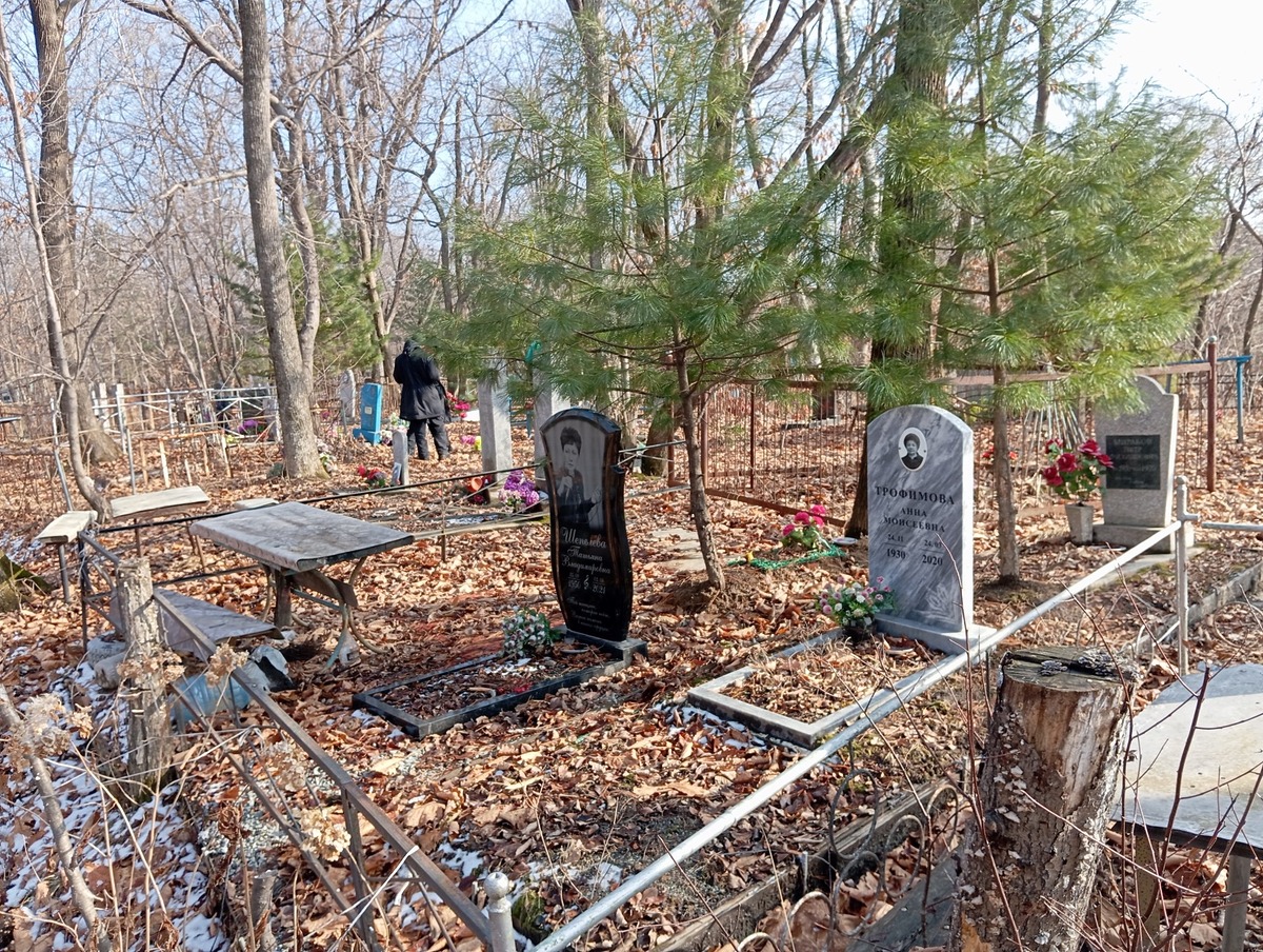 Трофимова Анна Моисеевна