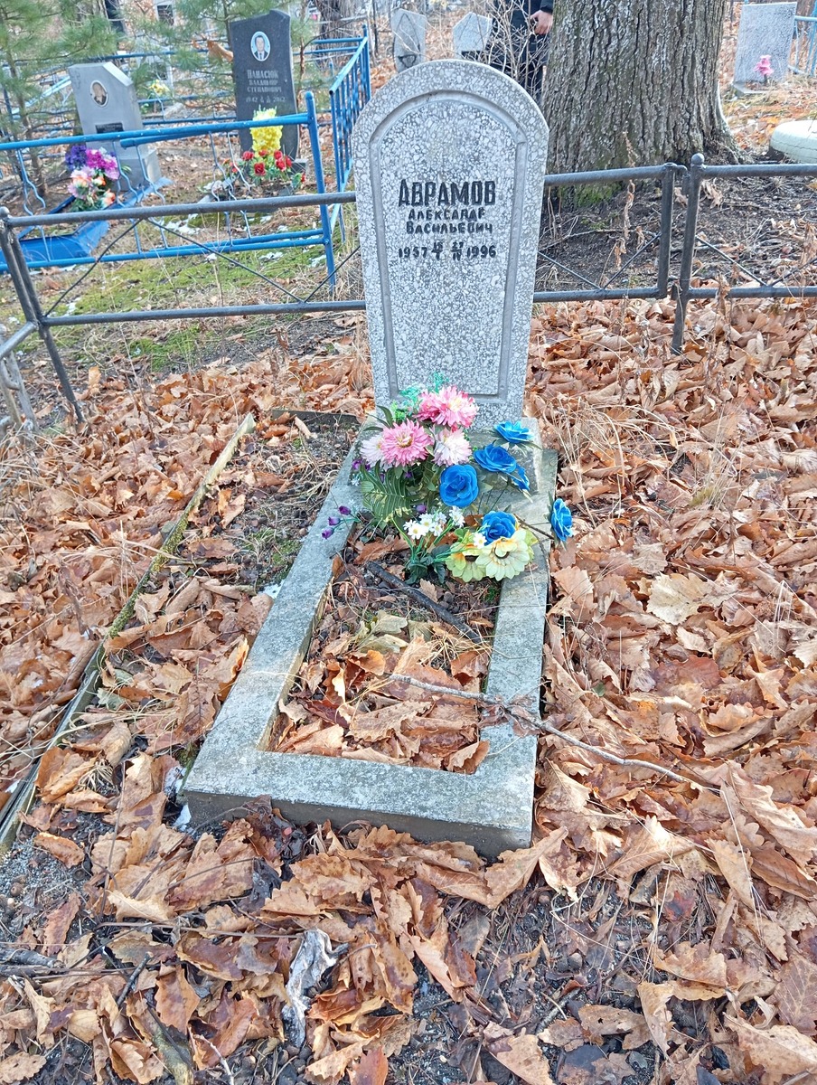 Аврамов Александр Васильевич