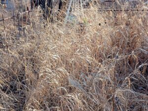 Неизвестно Неизвестно Неизвестно